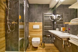 Hotel HOTEL SRNÍ wakacje