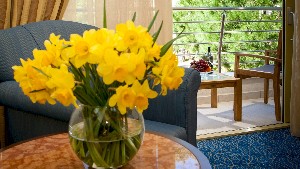 Classic Double Room with Balcony