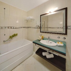 Hotel ROYAL PALM wakacje