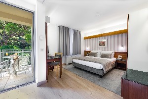 Standard Room with Balcony and Park View
