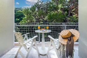 Standard Room with Balcony and Park View
