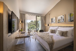 Superior room, balcony, parkview