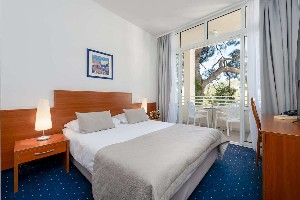 Standard Room with Balcony and Park View