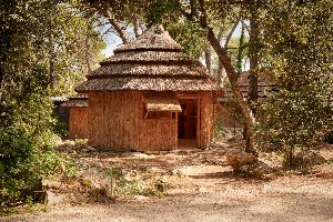 Hotel BUNGALOWS PINE BEACH PAKOSTANE wakacje