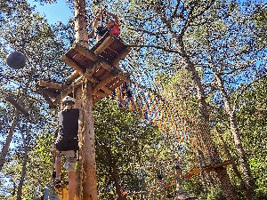 Hotel BUNGALOWS PINE BEACH PAKOSTANE wakacje