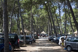 Hotel BUNGALOWS PINE BEACH PAKOSTANE wakacje