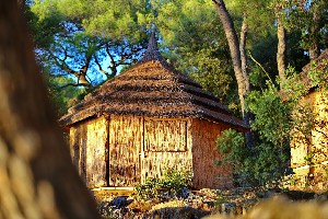 Hotel BUNGALOWS PINE BEACH PAKOSTANE wakacje
