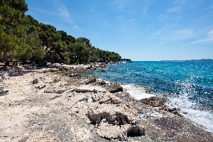 Hotel BUNGALOWS PINE BEACH PAKOSTANE wakacje