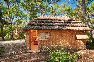 Hotel BUNGALOWS PINE BEACH PAKOSTANE wakacje