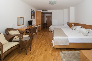 Deluxe Superior Room (SeaView, Balcony or Terrace)