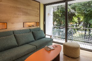 Superior Room (Balcony)