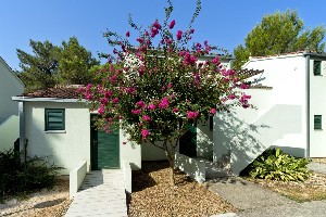 Hotel ZATON HOLIDAY RESORT wakacje