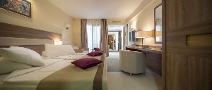 Standard Room (Balcony)