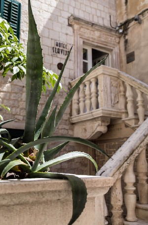 Hotel SLAVIJA CULTURE HERITAGE HOTEL wakacje