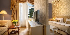 Superior Room (Park View)