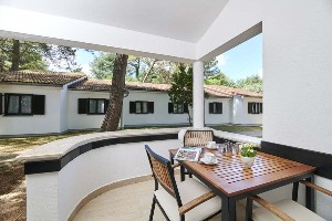 1 Bedroom Classic Apartment  