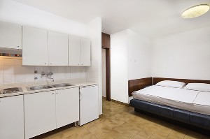 Standard 1 bedroom apartment (4 persons)
