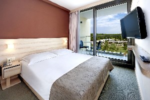 Double Classic Room (Park View, Balcony)