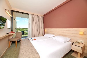 Double Classic Room (Park View, Balcony)