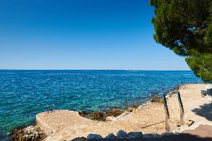 Hotel PARENTIUM PLAVA LAGUNA wakacje