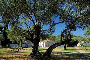 Hotel RESORT VILLAS RUBIN - APARTAMENTY wakacje