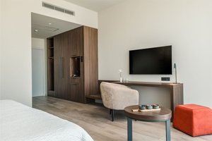 Deluxe Room (Park View, FrenchBalcony)