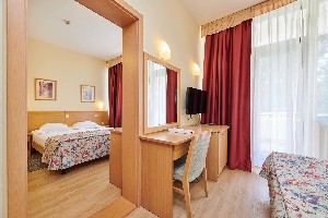 Economy room with french bed and balcony park side