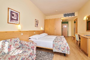 Superior room park side