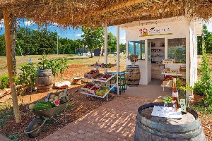 Hotel CAMPING PARK UMAG MOBILE HOMES wakacje