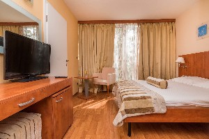 Economy room with french bed park side Connected