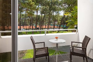 Classic Room (Park View, Balcony)