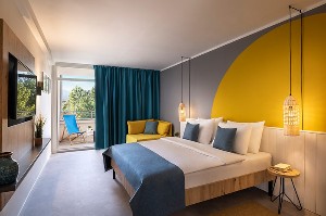 Large Superior Room (Balcony)