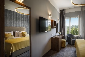 Superior Double Room Parkview