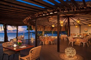 Hotel DREAMS CURACAO RESORT SPA & CASINO wakacje