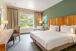Classic King Room