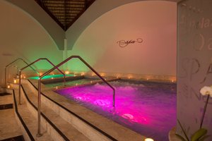 Spa and wellness