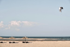 Hotel CASA COOK EL GOUNA wakacje