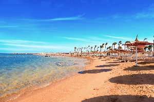 Hotel ALBATROS DANA BEACH RESORT wakacje