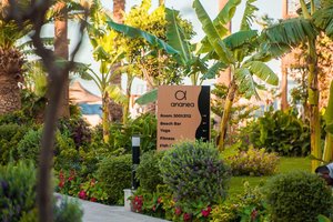 Hotel ANANEA HURGHADA wakacje