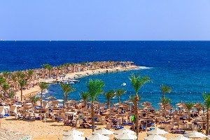 Hotel BEACH ALBATROS RESORT wakacje