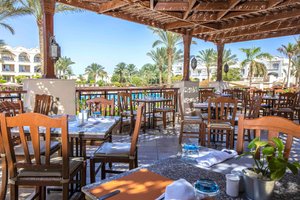 Hotel JAZ MAKADI STAR & SPA wakacje