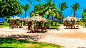 Serenity Makadi Beach 5* (5*)