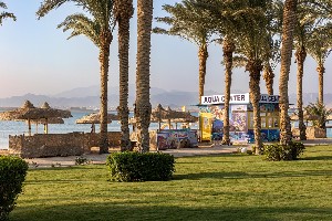 Hotel PALM ROYALE SOMA BAY wakacje