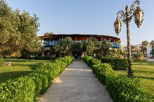 Hotel PALM ROYALE SOMA BAY wakacje