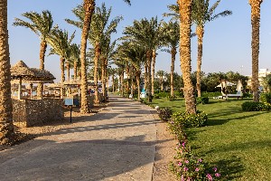 Hotel PALM ROYALE SOMA BAY wakacje