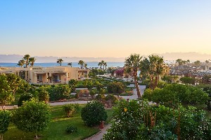 Hotel SHERATON SOMA BAY wakacje