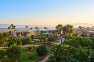 Hotel SHERATON SOMA BAY wakacje