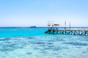 Hotel CORAL BEACH RESORT wakacje