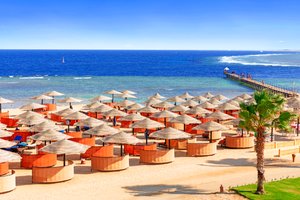 Hotel ALBATROS PALACE PORT GHALIB wakacje