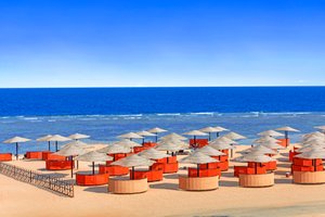 Hotel ALBATROS PALACE PORT GHALIB wakacje